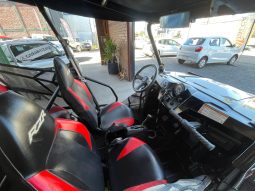 
										BUGGY POLARIS RZR XP900  2013 full									