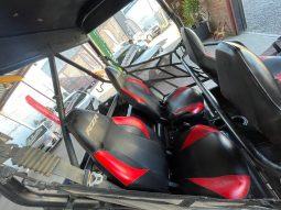 
										BUGGY POLARIS RZR XP900  2013 full									
