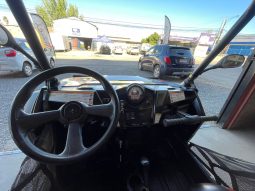 
										BUGGY POLARIS RZR XP900  2013 full									