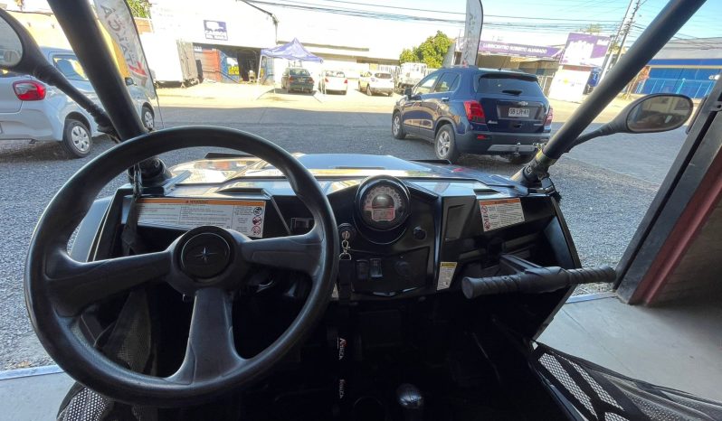 
								BUGGY POLARIS RZR XP900  2013 full									