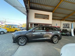 
										MAZDA CX9 R AT 2021 full									